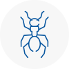Ant Removals In Pontypridd