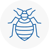 Bed Bug Extermination In Pontypridd