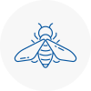 Bee Nest Removal Pontypridd