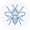 Pontypridd Hornet Nest Removals