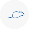 Mice Exterminators In Pontypridd