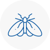 Moth Control Specialists In Pontypridd