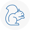 Pontypridd Rodent Removals